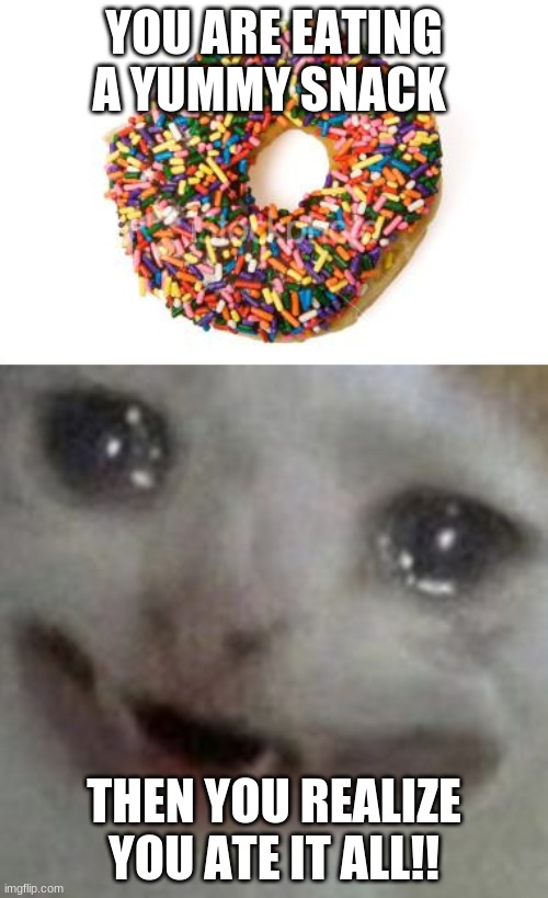 YOU ARE EATING A YUMMY SNACK; THEN YOU REALIZE YOU ATE IT ALL!! | image tagged in donut,crying cat | made w/ Imgflip meme maker