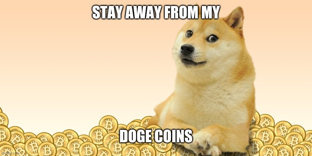Doge Coin | STAY AWAY FROM MY DOGE COINS | image tagged in doge coin | made w/ Imgflip meme maker