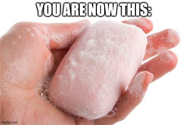 Soap | YOU ARE NOW THIS: | image tagged in soap | made w/ Imgflip meme maker