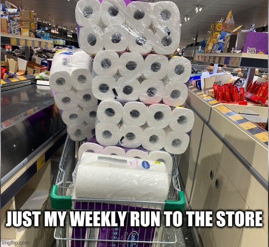 Run to the store | JUST MY WEEKLY RUN TO THE STORE | image tagged in toilet paper,shopping | made w/ Imgflip meme maker