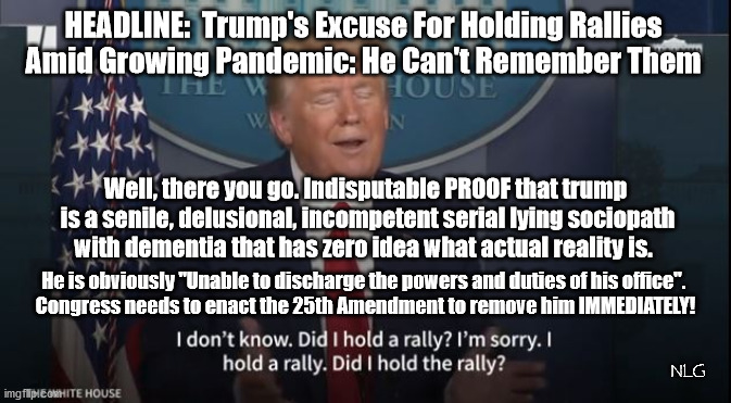 "Did I do thaaaat?" | HEADLINE:  Trump's Excuse For Holding Rallies
 Amid Growing Pandemic: He Can't Remember Them; Well, there you go. Indisputable PROOF that trump
 is a senile, delusional, incompetent serial lying sociopath
with dementia that has zero idea what actual reality is. He is obviously "Unable to discharge the powers and duties of his office". 
Congress needs to enact the 25th Amendment to remove him IMMEDIATELY! NLG | image tagged in politics,political meme,political | made w/ Imgflip meme maker