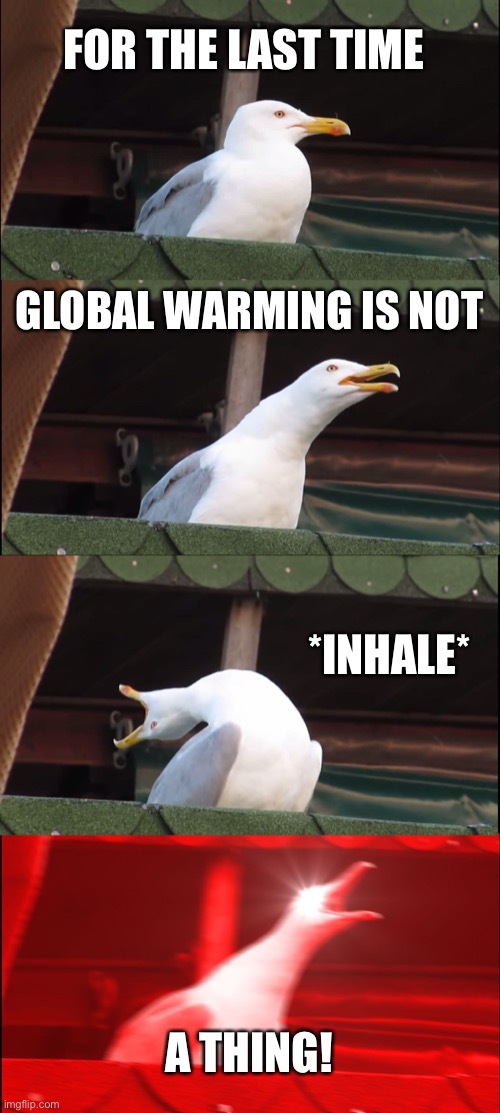 Inhaling Seagull Meme | FOR THE LAST TIME; GLOBAL WARMING IS NOT; *INHALE*; A THING! | image tagged in memes,inhaling seagull | made w/ Imgflip meme maker