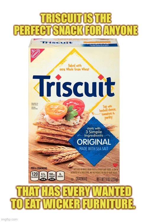 Triscuit box | TRISCUIT IS THE PERFECT SNACK FOR ANYONE; THAT HAS EVERY WANTED TO EAT WICKER FURNITURE. | image tagged in triscuit box,cardboard,food,no taste,millennials,cracker | made w/ Imgflip meme maker