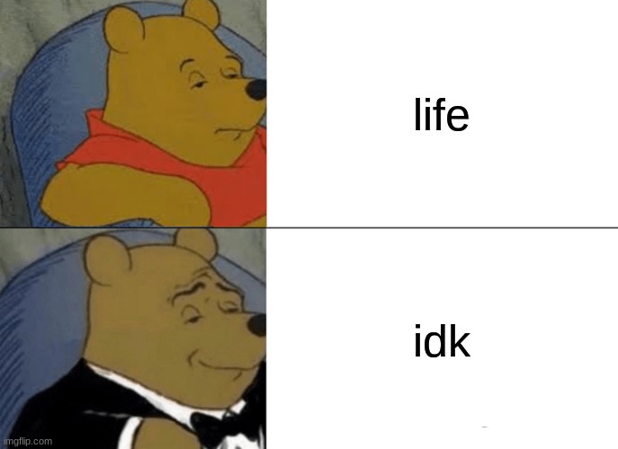 Tuxedo Winnie The Pooh | life; idk | image tagged in memes,tuxedo winnie the pooh | made w/ Imgflip meme maker
