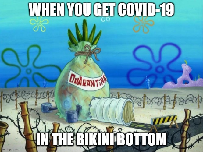WHEN YOU GET COVID-19; IN THE BIKINI BOTTOM | image tagged in bikini bottom,memes | made w/ Imgflip meme maker