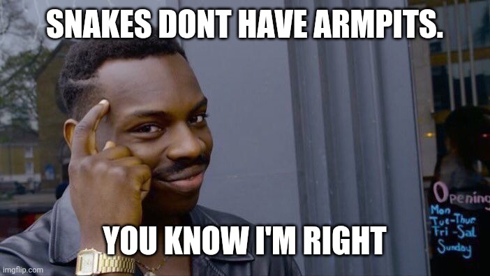 Roll Safe Think About It | SNAKES DONT HAVE ARMPITS. YOU KNOW I'M RIGHT | image tagged in memes,roll safe think about it | made w/ Imgflip meme maker