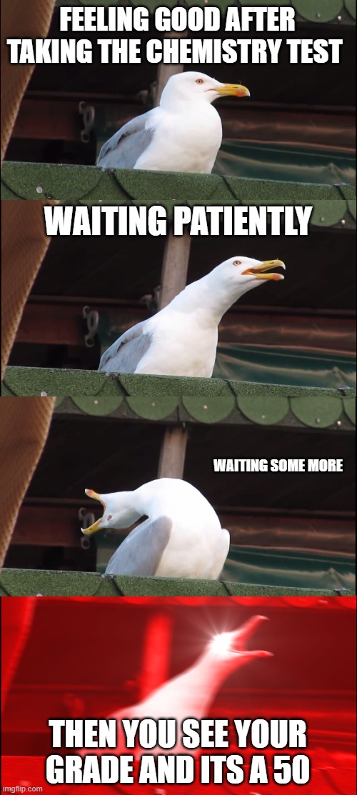 Inhaling Seagull | FEELING GOOD AFTER TAKING THE CHEMISTRY TEST; WAITING PATIENTLY; WAITING SOME MORE; THEN YOU SEE YOUR GRADE AND IT'S A 50 | image tagged in memes,inhaling seagull | made w/ Imgflip meme maker