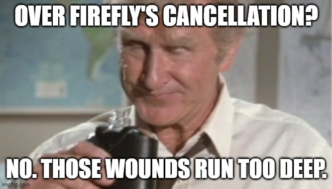 Firefly - Those Wounds Run Too Deep | OVER FIREFLY'S CANCELLATION? NO. THOSE WOUNDS RUN TOO DEEP. | image tagged in airplane - quit drinking | made w/ Imgflip meme maker