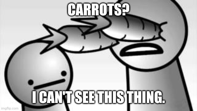 asdf you lied to me | CARROTS? I CAN'T SEE THIS THING. | image tagged in asdf you lied to me | made w/ Imgflip meme maker