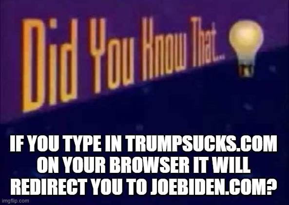 trumpsucks.com | IF YOU TYPE IN TRUMPSUCKS.COM ON YOUR BROWSER IT WILL REDIRECT YOU TO JOEBIDEN.COM? | image tagged in did you know that,funny,memes,joe biden,trump sucks,trump | made w/ Imgflip meme maker