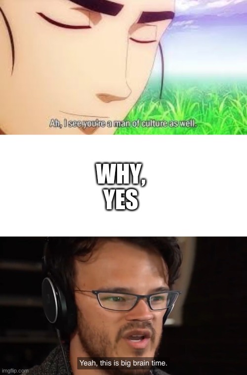 WHY,
YES | image tagged in yeah this is big brain time,ah i see your a man of culture as well | made w/ Imgflip meme maker