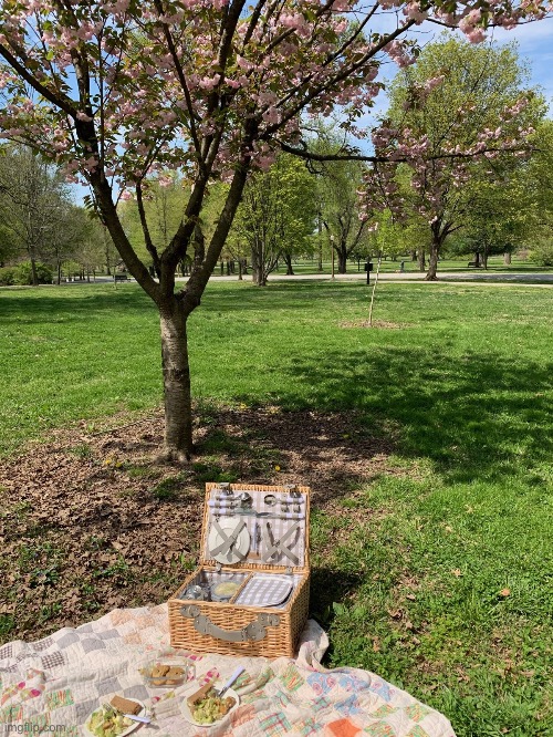 We had a picnic this Sunday in the park. It was gorgeous weather. Get out and enjoy Spring! | image tagged in picnic,spring,lunch,lunch time,park,weather | made w/ Imgflip meme maker