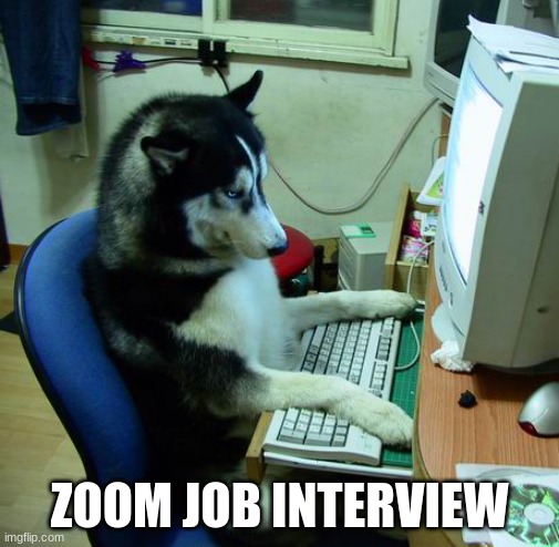I Have No Idea What I Am Doing | ZOOM JOB INTERVIEW | image tagged in memes,i have no idea what i am doing | made w/ Imgflip meme maker