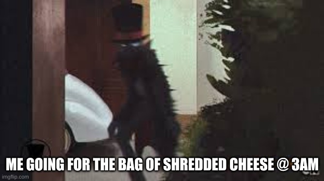 ME GOING FOR THE BAG OF SHREDDED CHEESE @ 3AM | image tagged in funny memes | made w/ Imgflip meme maker
