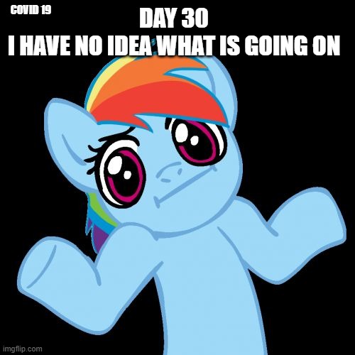 Pony Shrugs Meme | DAY 30
I HAVE NO IDEA WHAT IS GOING ON; COVID 19 | image tagged in memes,pony shrugs | made w/ Imgflip meme maker