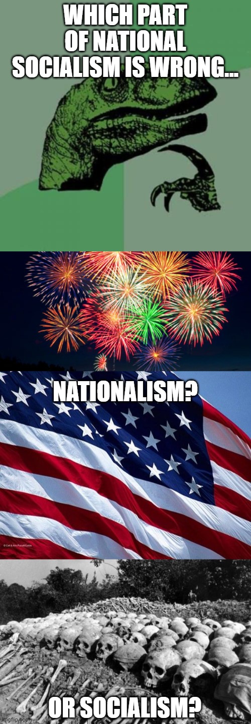 WHICH PART OF NATIONAL SOCIALISM IS WRONG... NATIONALISM? OR SOCIALISM? | image tagged in memes,philosoraptor,cambodia killing fields,closed fourth of july,old glory | made w/ Imgflip meme maker