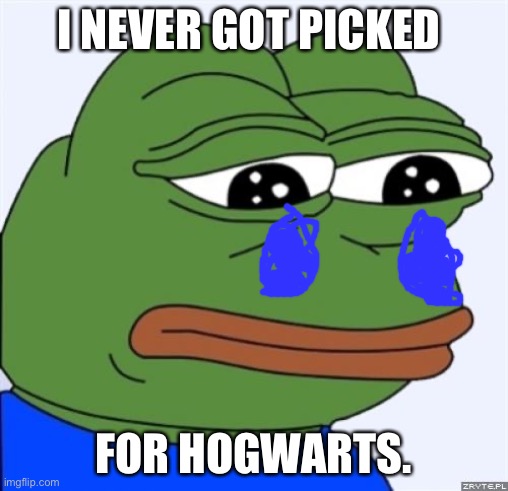 sad frog | I NEVER GOT PICKED FOR HOGWARTS. | image tagged in sad frog | made w/ Imgflip meme maker