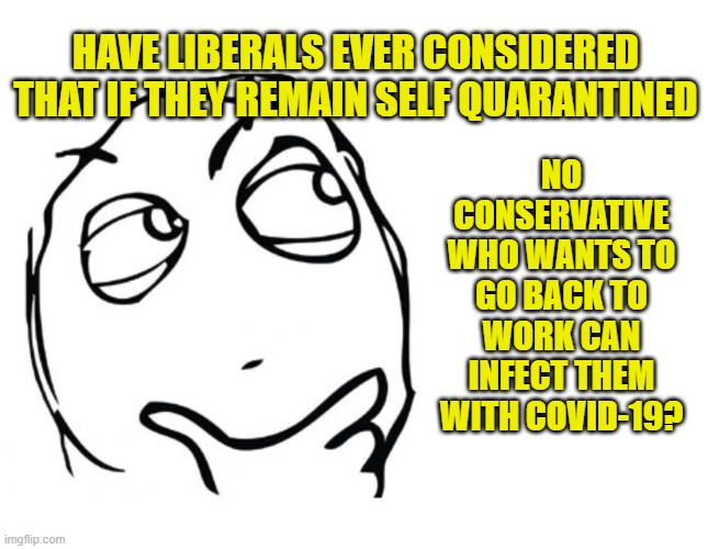 Remain quarantined and you won't get infected | NO CONSERVATIVE WHO WANTS TO GO BACK TO WORK CAN INFECT THEM WITH COVID-19? HAVE LIBERALS EVER CONSIDERED THAT IF THEY REMAIN SELF QUARANTINED | image tagged in hmmm,political meme,quarantine,liberals vs conservatives,uninformed liberals,liberal logic | made w/ Imgflip meme maker