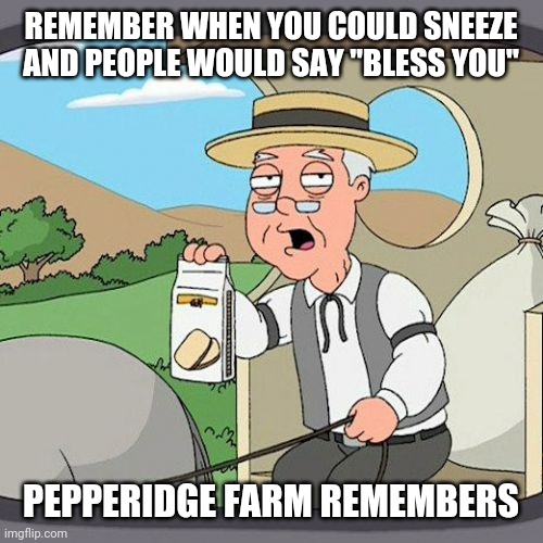 Pepperidge Farm Remembers | REMEMBER WHEN YOU COULD SNEEZE AND PEOPLE WOULD SAY "BLESS YOU"; PEPPERIDGE FARM REMEMBERS | image tagged in memes,pepperidge farm remembers | made w/ Imgflip meme maker