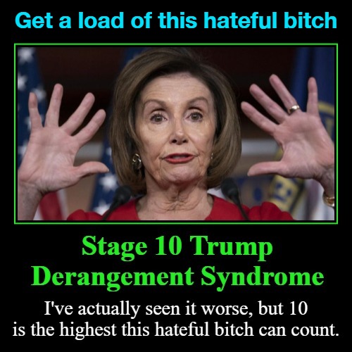 Stage 10 Trump Derangement Syndrome | Get a load of this hateful bitch | image tagged in nancy pelosi is crazy,pelosi explains,nancy pelosi wtf,trump derangement syndrome,this bitch,crazy bitch | made w/ Imgflip meme maker