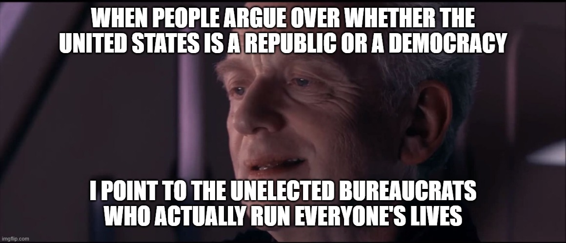 Palpatine Ironic  | WHEN PEOPLE ARGUE OVER WHETHER THE UNITED STATES IS A REPUBLIC OR A DEMOCRACY I POINT TO THE UNELECTED BUREAUCRATS WHO ACTUALLY RUN EVERYONE | image tagged in palpatine ironic | made w/ Imgflip meme maker