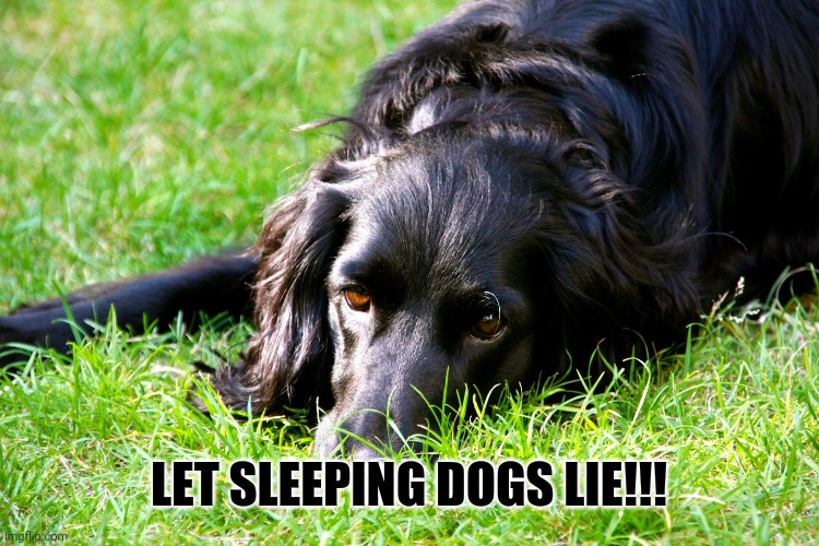 LET SLEEPING DOGS LIE!!! | made w/ Imgflip meme maker