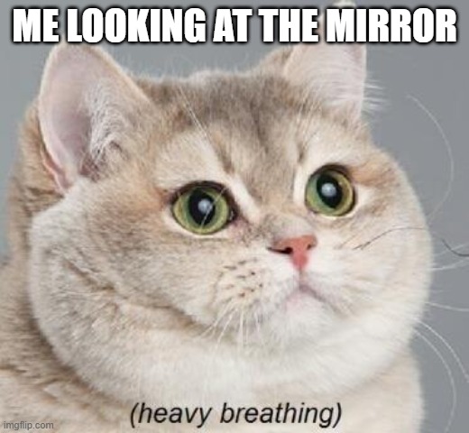 Heavy Breathing Cat | ME LOOKING AT THE MIRROR | image tagged in memes,heavy breathing cat | made w/ Imgflip meme maker