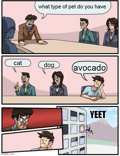 Boardroom Meeting Suggestion | what type of pet do you have; cat; dog; avocado; YEET | image tagged in memes,boardroom meeting suggestion | made w/ Imgflip meme maker