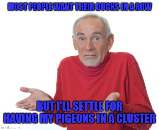 Guess I'll die  | MOST PEOPLE WANT THEIR DUCKS IN A ROW; BUT I'LL SETTLE FOR HAVING MY PIGEONS IN A CLUSTER | image tagged in guess i'll die | made w/ Imgflip meme maker