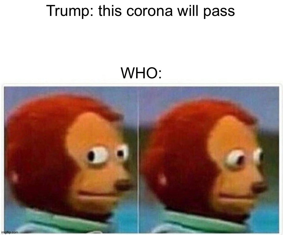 Monkey Puppet Meme |  Trump: this corona will pass; WHO: | image tagged in memes,monkey puppet | made w/ Imgflip meme maker