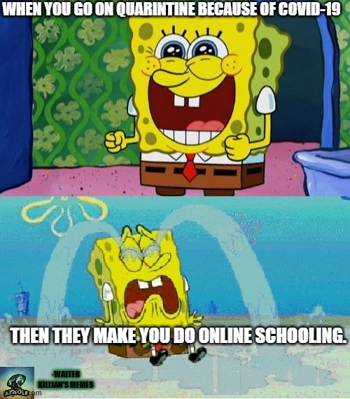 Online School Imgflip