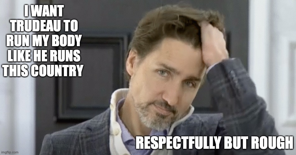 I WANT TRUDEAU TO RUN MY BODY LIKE HE RUNS THIS COUNTRY; RESPECTFULLY BUT ROUGH | image tagged in justin trudeau | made w/ Imgflip meme maker