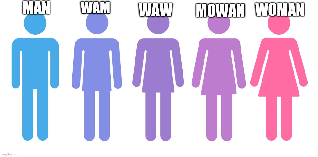 Gender Fluid - Imgflip