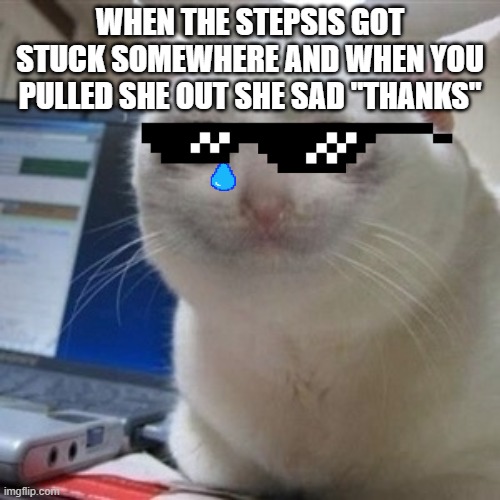 Crying cat | WHEN THE STEPSIS GOT STUCK SOMEWHERE AND WHEN YOU PULLED SHE OUT SHE SAD "THANKS" | image tagged in crying cat | made w/ Imgflip meme maker