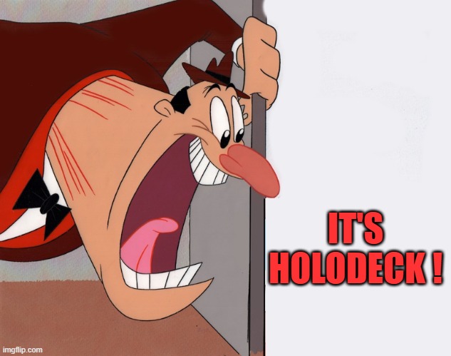 yelling guy | IT'S HOLODECK ! | image tagged in yelling guy | made w/ Imgflip meme maker