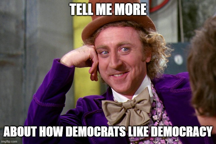 Silly wanka | TELL ME MORE ABOUT HOW DEMOCRATS LIKE DEMOCRACY | image tagged in silly wanka | made w/ Imgflip meme maker