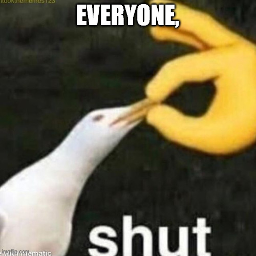 Shut Gull | EVERYONE, | image tagged in shut gull | made w/ Imgflip meme maker