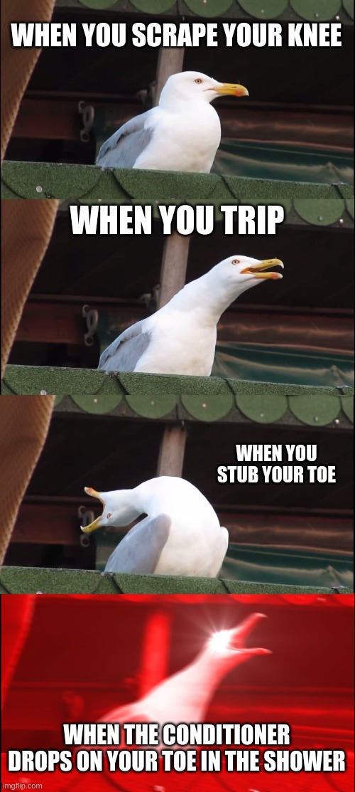 Inhaling Seagull | WHEN YOU SCRAPE YOUR KNEE; WHEN YOU TRIP; WHEN YOU STUB YOUR TOE; WHEN THE CONDITIONER DROPS ON YOUR TOE IN THE SHOWER | image tagged in memes,inhaling seagull | made w/ Imgflip meme maker