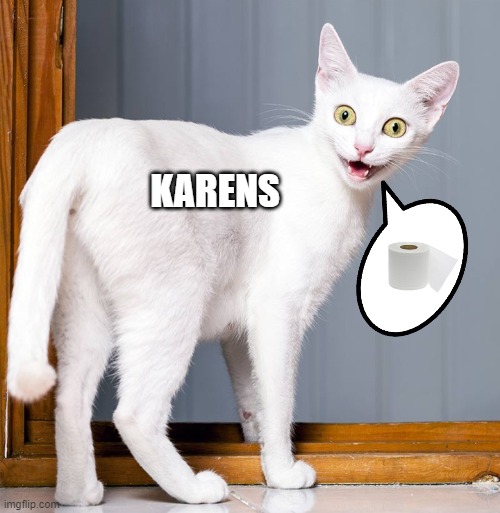 Overly attached cat | KARENS | image tagged in overly attached cat | made w/ Imgflip meme maker