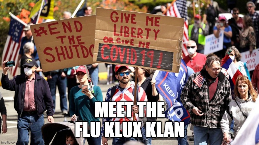 Flu Klux Klan | MEET THE FLU KLUX KLAN | image tagged in flu klux klan | made w/ Imgflip meme maker