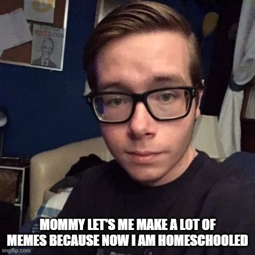 MOMMY LET'S ME MAKE A LOT OF MEMES BECAUSE NOW I AM HOMESCHOOLED | image tagged in nikolas lemini | made w/ Imgflip meme maker