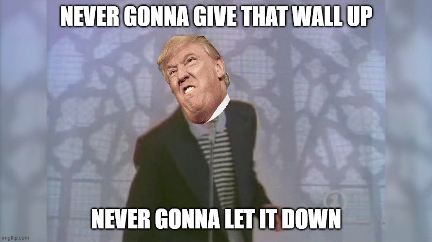 Rick Roll | NEVER GONNA GIVE THAT WALL UP; NEVER GONNA LET IT DOWN | image tagged in rick roll | made w/ Imgflip meme maker