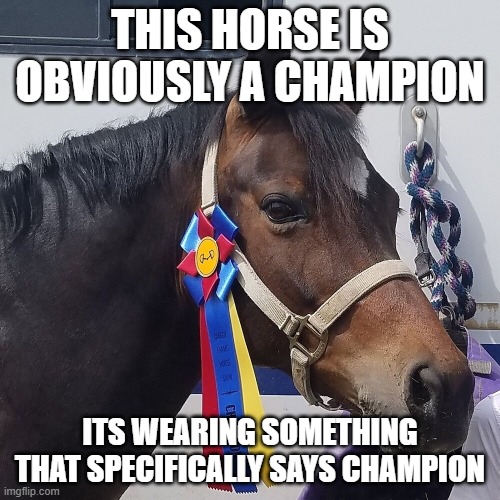 Champion | THIS HORSE IS OBVIOUSLY A CHAMPION; ITS WEARING SOMETHING THAT SPECIFICALLY SAYS CHAMPION | image tagged in this horse is obviously a champion | made w/ Imgflip meme maker