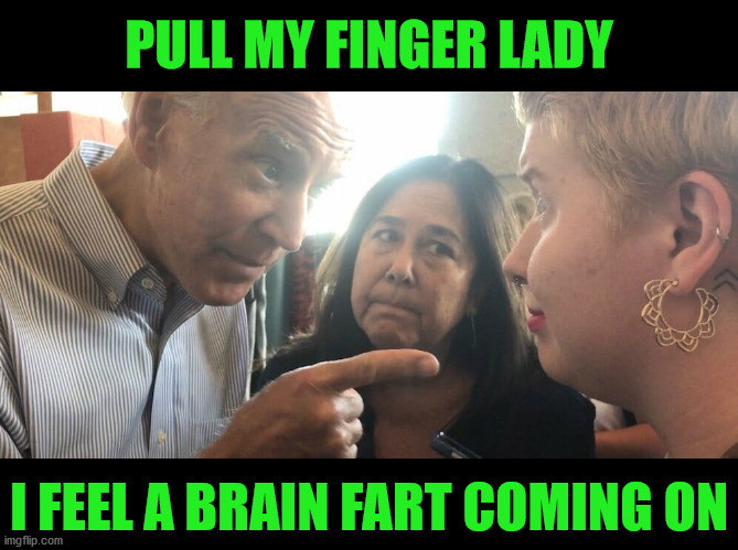 Biden Pull My Finger | PULL MY FINGER LADY; I FEEL A BRAIN FART COMING ON | image tagged in brain fart,memes,joe biden,don't do it,pull my finger,one does not simply | made w/ Imgflip meme maker