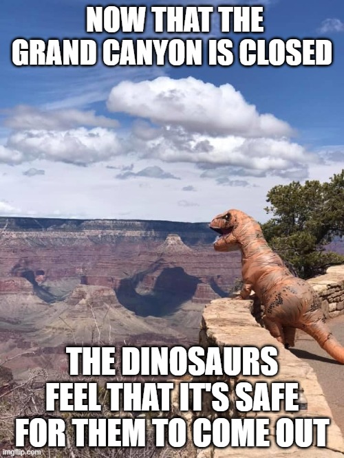 NOW THAT THE GRAND CANYON IS CLOSED; THE DINOSAURS FEEL THAT IT'S SAFE FOR THEM TO COME OUT | image tagged in coronavirus,dinosaurs | made w/ Imgflip meme maker