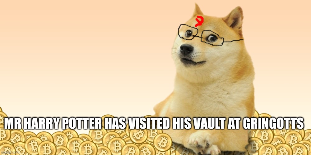 Doge Coin | MR HARRY POTTER HAS VISITED HIS VAULT AT GRINGOTTS | image tagged in doge coin | made w/ Imgflip meme maker