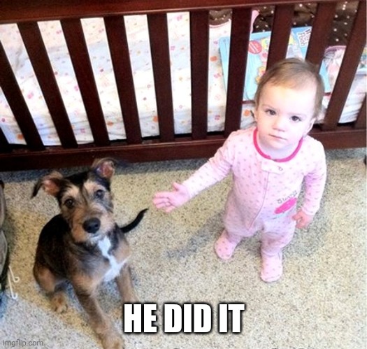 BLAME THE DOG | HE DID IT | image tagged in dog,kids | made w/ Imgflip meme maker