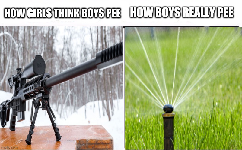 Life facts | HOW GIRLS THINK BOYS PEE; HOW BOYS REALLY PEE | image tagged in sniper,pee,boy,girl | made w/ Imgflip meme maker