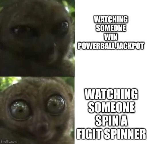 WATCHING SOMEONE WIN POWERBALL JACKPOT; WATCHING SOMEONE SPIN A FIGIT SPINNER | image tagged in monkeys,powerball | made w/ Imgflip meme maker