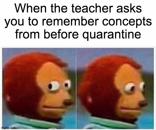 Monkey Puppet | When the teacher asks you to remember concepts from before quarantine | image tagged in memes,monkey puppet | made w/ Imgflip meme maker